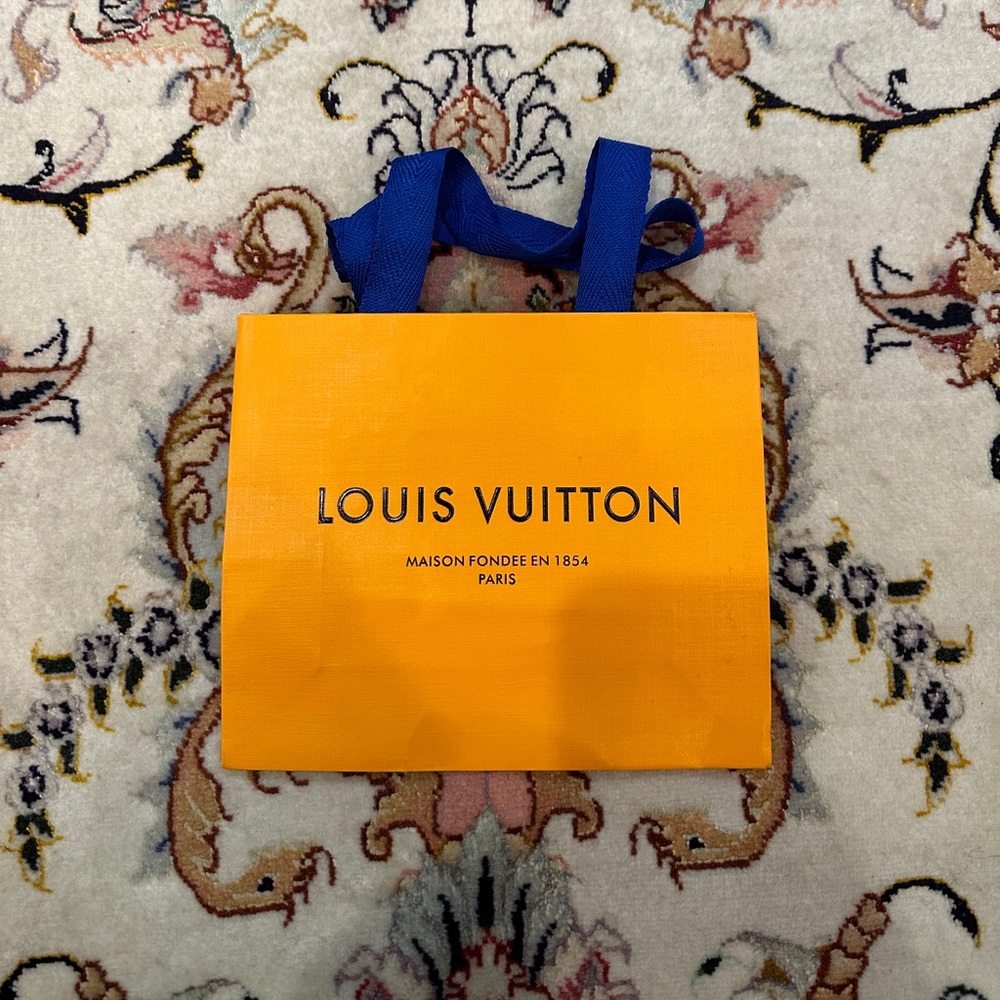 Louis Vuitton gift bag